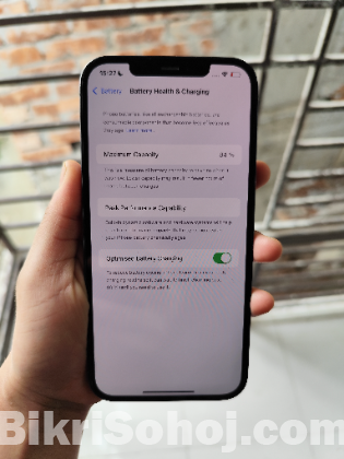 iPhone 12 pro max